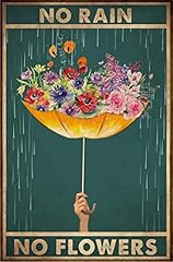 Umbrella rain flowers for sale  Delivered anywhere in USA 