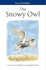 Snowy owl for sale  Delivered anywhere in UK