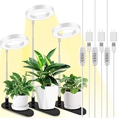 Lordem plant grow for sale  Delivered anywhere in USA 