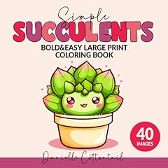 Simple succulents bold for sale  Delivered anywhere in USA 