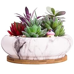 Artketty succulent pots for sale  Delivered anywhere in USA 