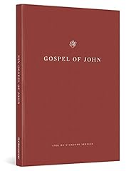 The gospel john gebraucht kaufen  Wird an jeden Ort in Deutschland