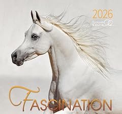 Fascination 2026 arabische gebraucht kaufen  Wird an jeden Ort in Deutschland