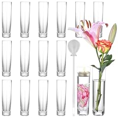 Ajaraera glass cylinder for sale  Delivered anywhere in USA 