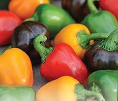 Seeds pepper sweet for sale  Delivered anywhere in UK