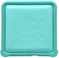 Big bee little for sale  Delivered anywhere in USA 