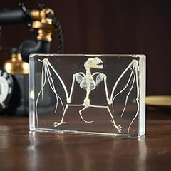 Resin embedded real for sale  Delivered anywhere in USA 