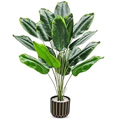Der rose tall for sale  Delivered anywhere in USA 