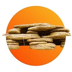 Reptile terrarium rock for sale  Delivered anywhere in UK