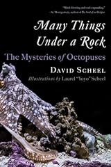Many things rock for sale  Delivered anywhere in USA 