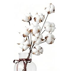 Fiori cotone secco usato  Spedito ovunque in Italia 