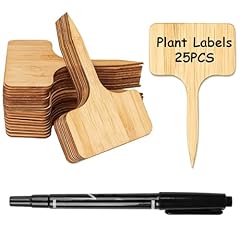 Doetyd bamboo plant for sale  Delivered anywhere in UK