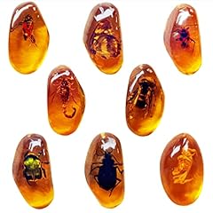 8pcs amber fossils for sale  Delivered anywhere in USA 