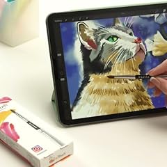 Butouch pennello professionale usato  Spedito ovunque in Italia 