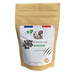 Lion claws pieces for sale  Delivered anywhere in UK