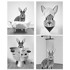 Maxee cute rabbit for sale  Delivered anywhere in USA 