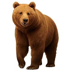 Enjoyview brown bear for sale  Delivered anywhere in USA 
