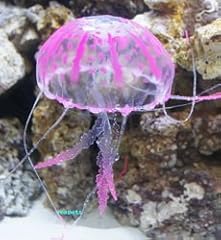 Fish fun pink for sale  Delivered anywhere in UK