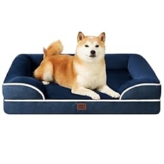 chiots berger australien bleu d'occasion chiots berger australien bleu d'occasion Livré partout en France