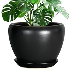 Ceramicfor ceramic pot for sale  Delivered anywhere in USA 