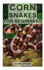 Corn snakes beginners for sale  Delivered anywhere in UK