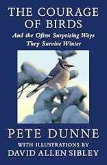 Courage birds often for sale  Delivered anywhere in USA 
