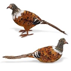 Nature vibe feathered for sale  Delivered anywhere in USA 