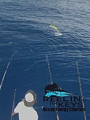 Reelin keys ocean for sale  Delivered anywhere in USA 