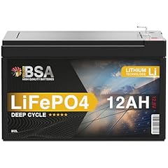 Bsa lifepo4 12v gebraucht kaufen  Wird an jeden Ort in Deutschland