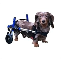 Dachshund wheelchair small for sale  Delivered anywhere in USA 
