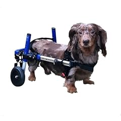 Dachshund wheelchair small for sale  Delivered anywhere in USA 