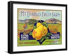Art.com wall art for sale  Delivered anywhere in USA 