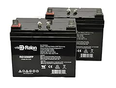 Raion power 12v for sale  Delivered anywhere in USA 