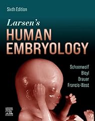 Larsen human embryology gebraucht kaufen  Wird an jeden Ort in Deutschland