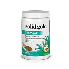 Solid gold seameal for sale  Delivered anywhere in USA 