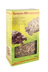 Lucky reptile tortoise usato  Spedito ovunque in Italia 