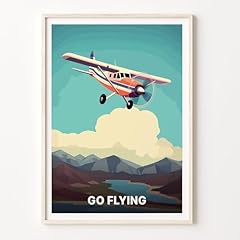 Cessna skyhawk aviation for sale  Delivered anywhere in USA 