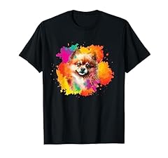 Colori pomerania nano usato  Spedito ovunque in Italia 