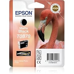 Epson t087840 sty. usato  Spedito ovunque in Italia 