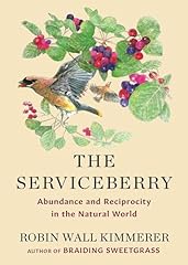 Serviceberry abundance recipro for sale  Delivered anywhere in USA 
