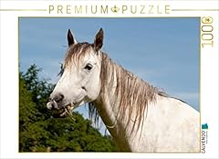 Calvendo puzzle motiv gebraucht kaufen  Wird an jeden Ort in Deutschland