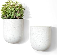 Jolie muse wall for sale  Delivered anywhere in USA 