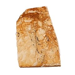 Vintorky fossile pesce usato  Spedito ovunque in Italia 