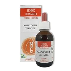 Ampelopsis bio gemmoderivato usato  Spedito ovunque in Italia 