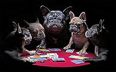 Doubletop french bulldog for sale  Delivered anywhere in USA 