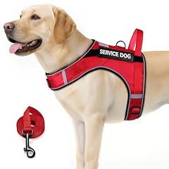 Fayogoo service dog for sale  Delivered anywhere in USA 