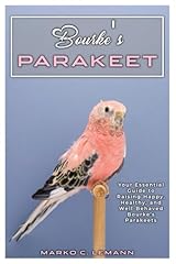 Bourke parakeet essential for sale  Delivered anywhere in USA 