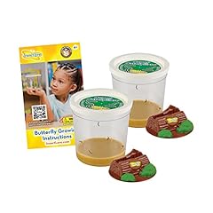 Two cups caterpillars for sale  Delivered anywhere in USA 
