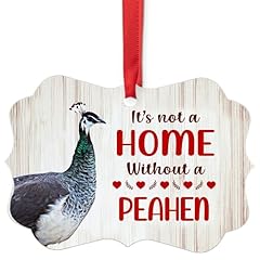 House home without for sale  Delivered anywhere in USA 