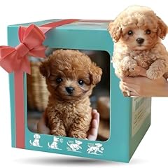 2025 robot dog for sale  Delivered anywhere in USA 